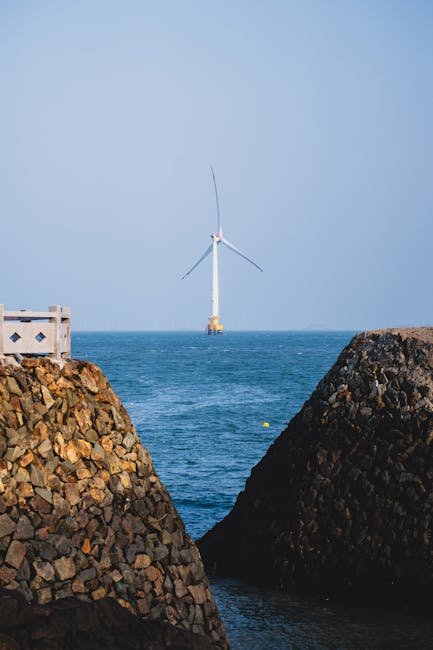 technology protest environmental conservation COP30