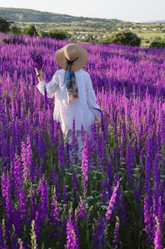A woman in a hat walks through a vibrant lavender field on a sunny day.