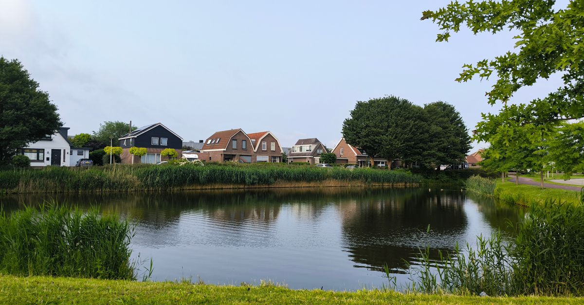 Peaceful suburban scene with houses reflecting in a tranquil pond surrounded by greenery.