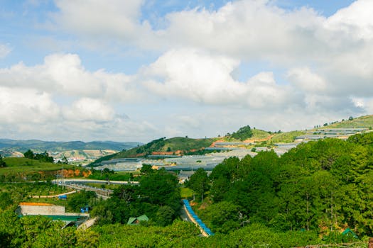 Photo by Tường Chopper