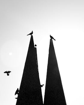 Silhouette of birds on monument towers with bright sky backdrop, creating an abstract visual.
