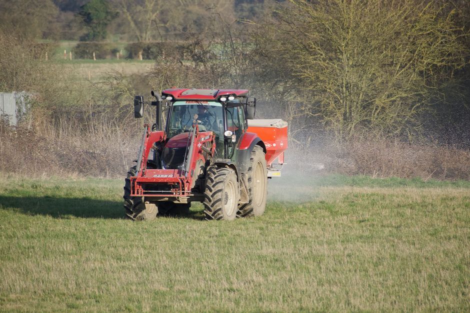 How much lime does your lawn actually need? — cover media