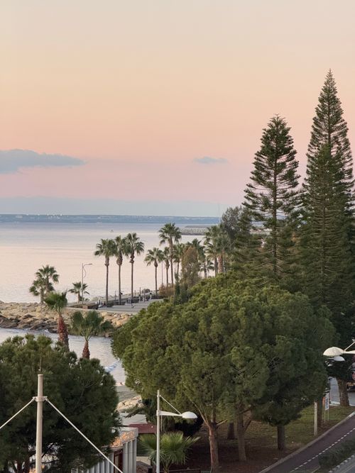 Free Beautiful coastal landscape with pine trees and palm trees against a sunset sky. Stock Photo