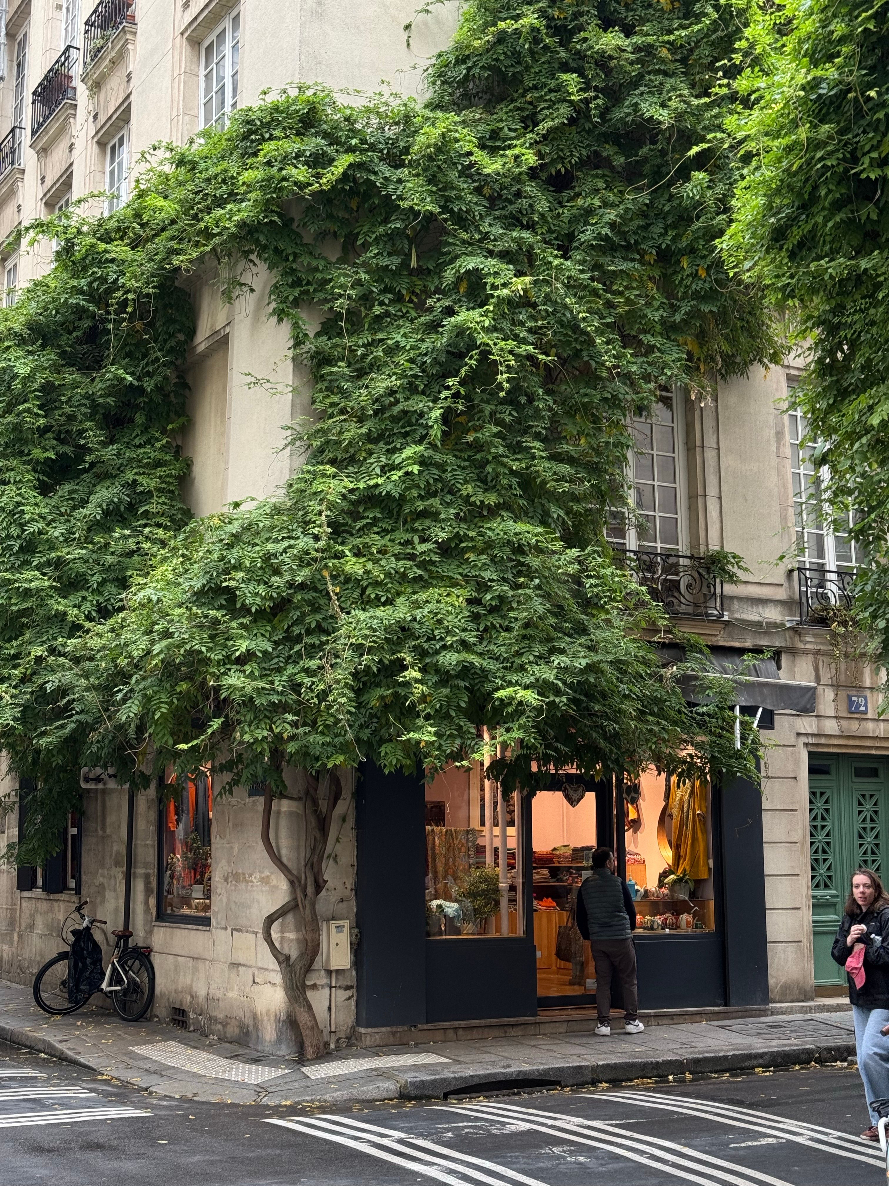 Charming Stone Building with Lush Greenery · Free Stock Photo