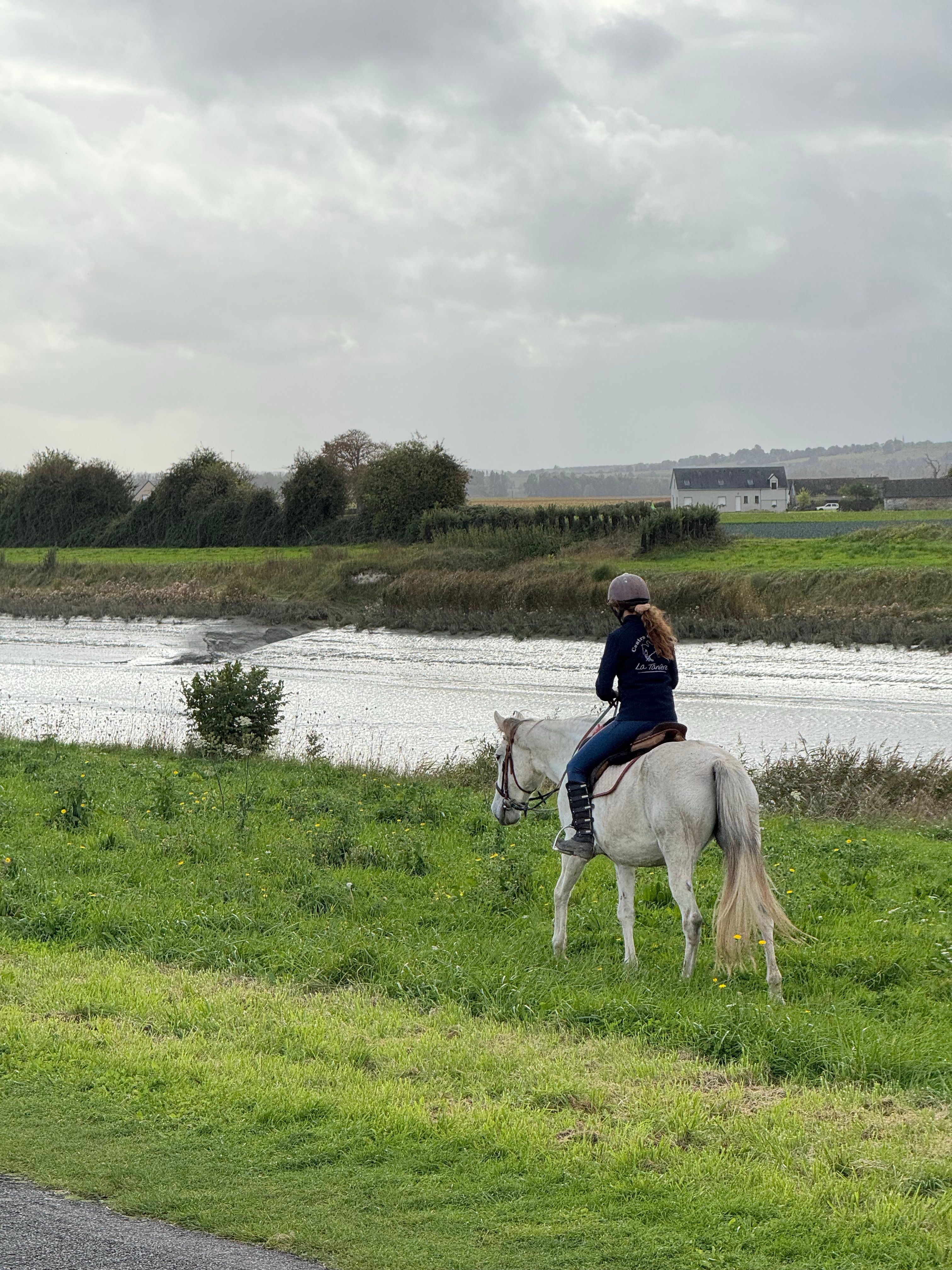 Woman Riding Horse by Riverside Outdoors · Free Stock Photo