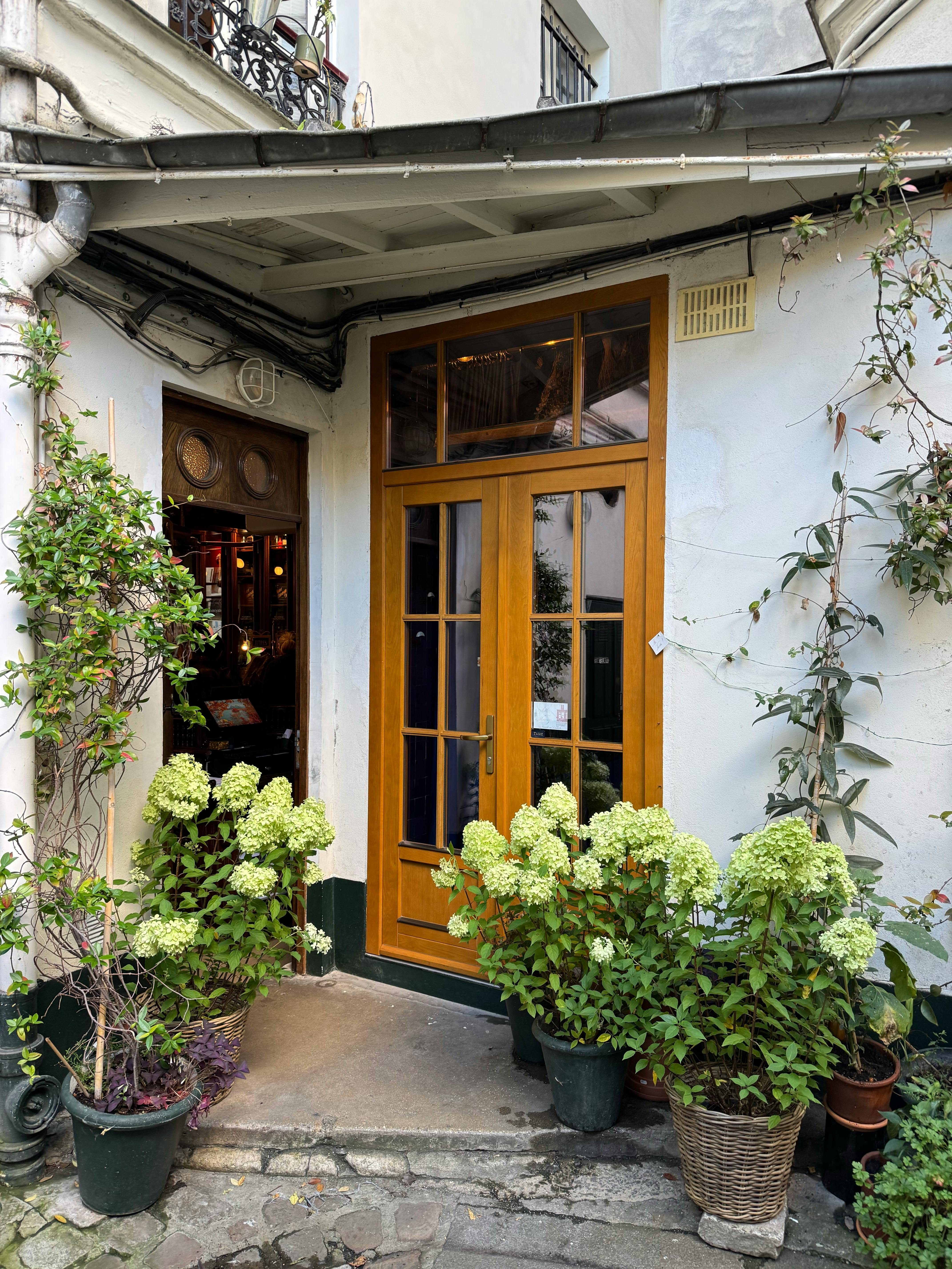 Gratuit Intrare confortabilă într-o cafenea, cu ușă din lemn, înconjurată de plante verzi luxuriante și flori în ghiveci. Fotografie de stoc