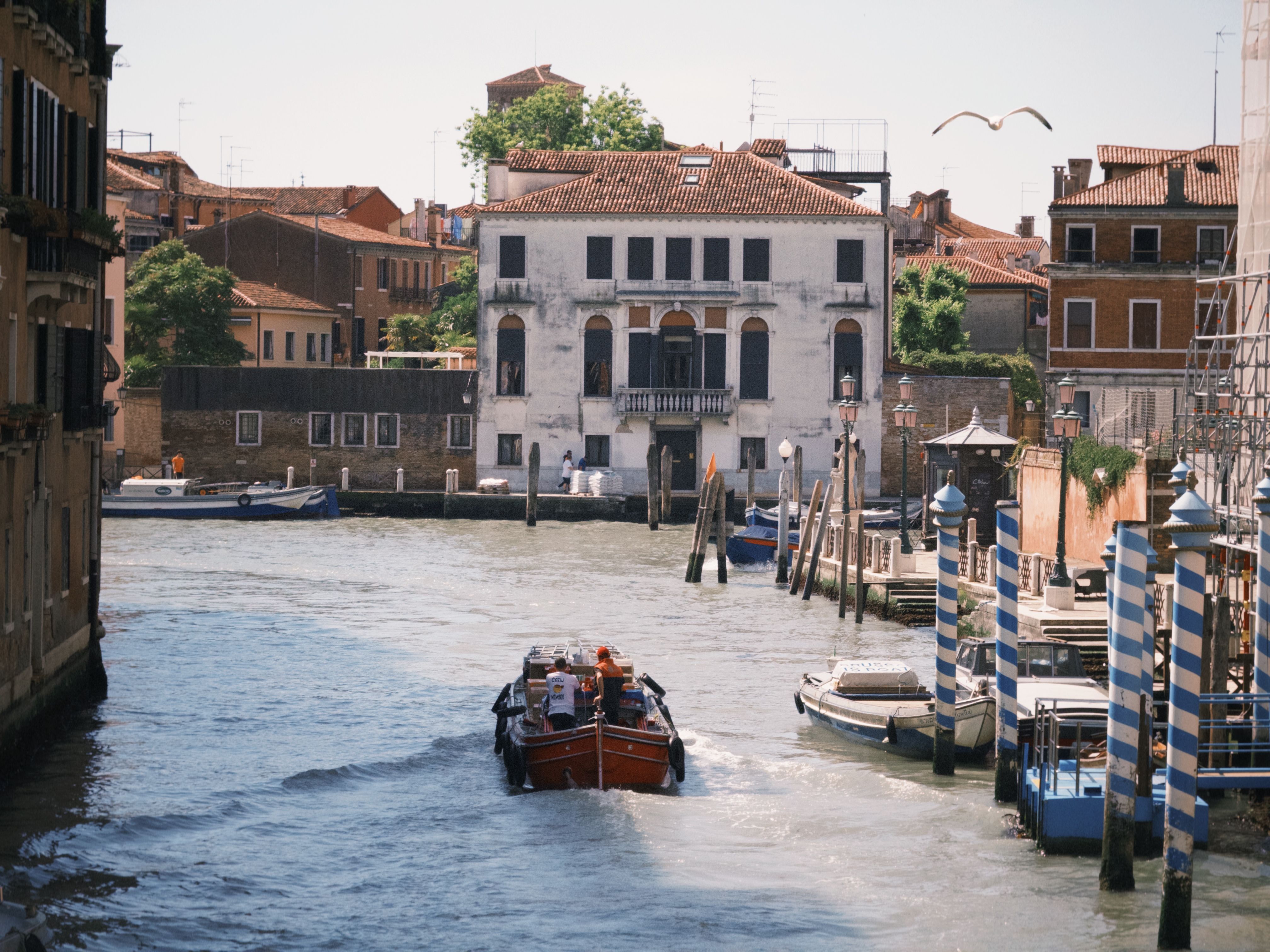 Cruz and Bardem Draw Attention at Venice Film Festival Premiere