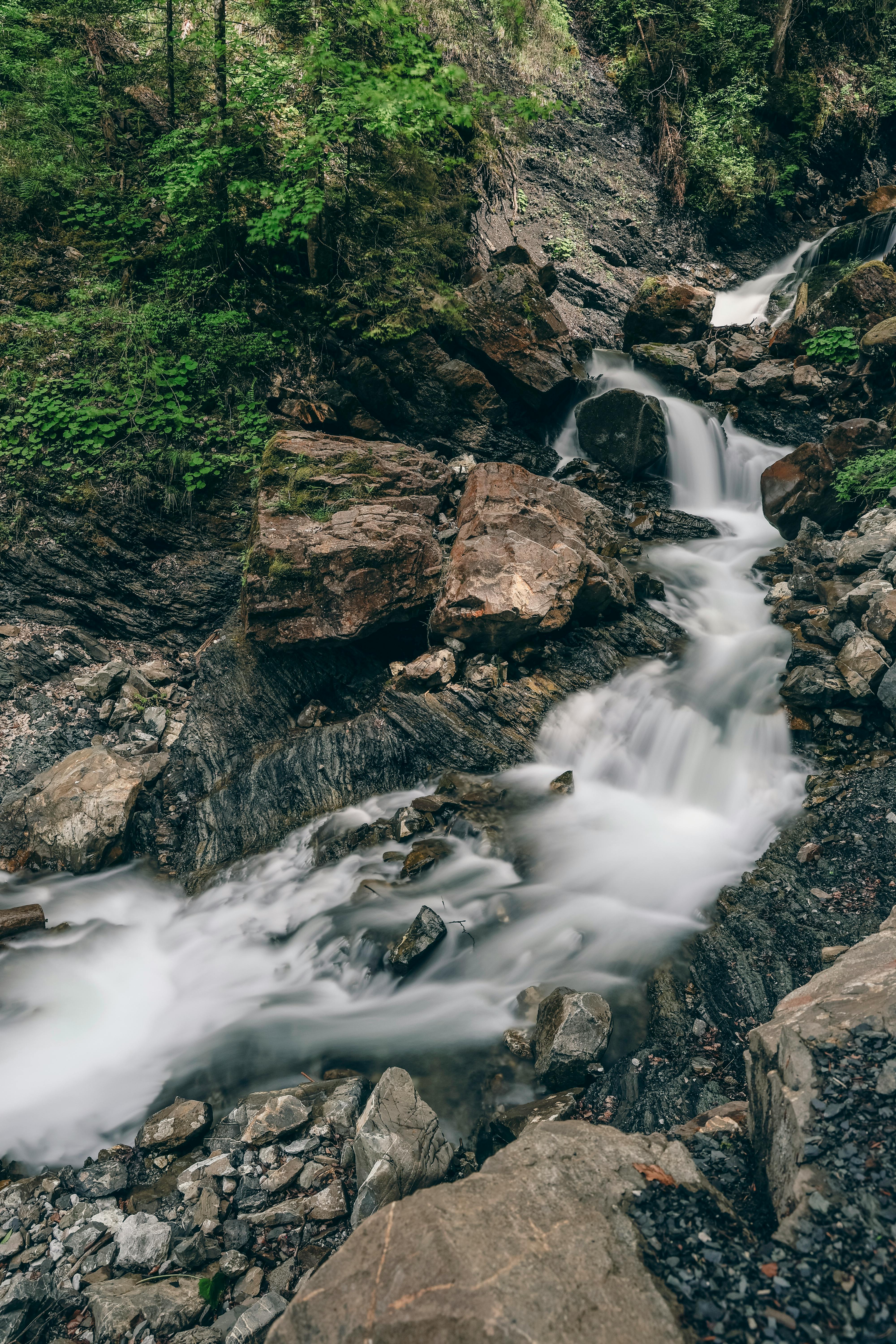Stream Backgrounds Photos, Download The BEST Free Stream Backgrounds ...