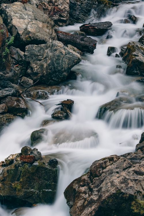 Free A dynamic view of a rushing stream amidst rocks in Oberstdorf, Germany, capturing the beauty of nature. Stock Photo