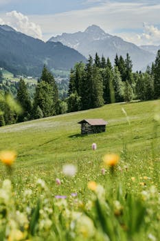 Idyllic summer landscape in Bavaria with a wooden hut and mountain backdrop.