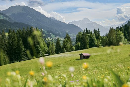 Vibrant summer view of a Bavarian meadow with mountains, trees, and a hut.