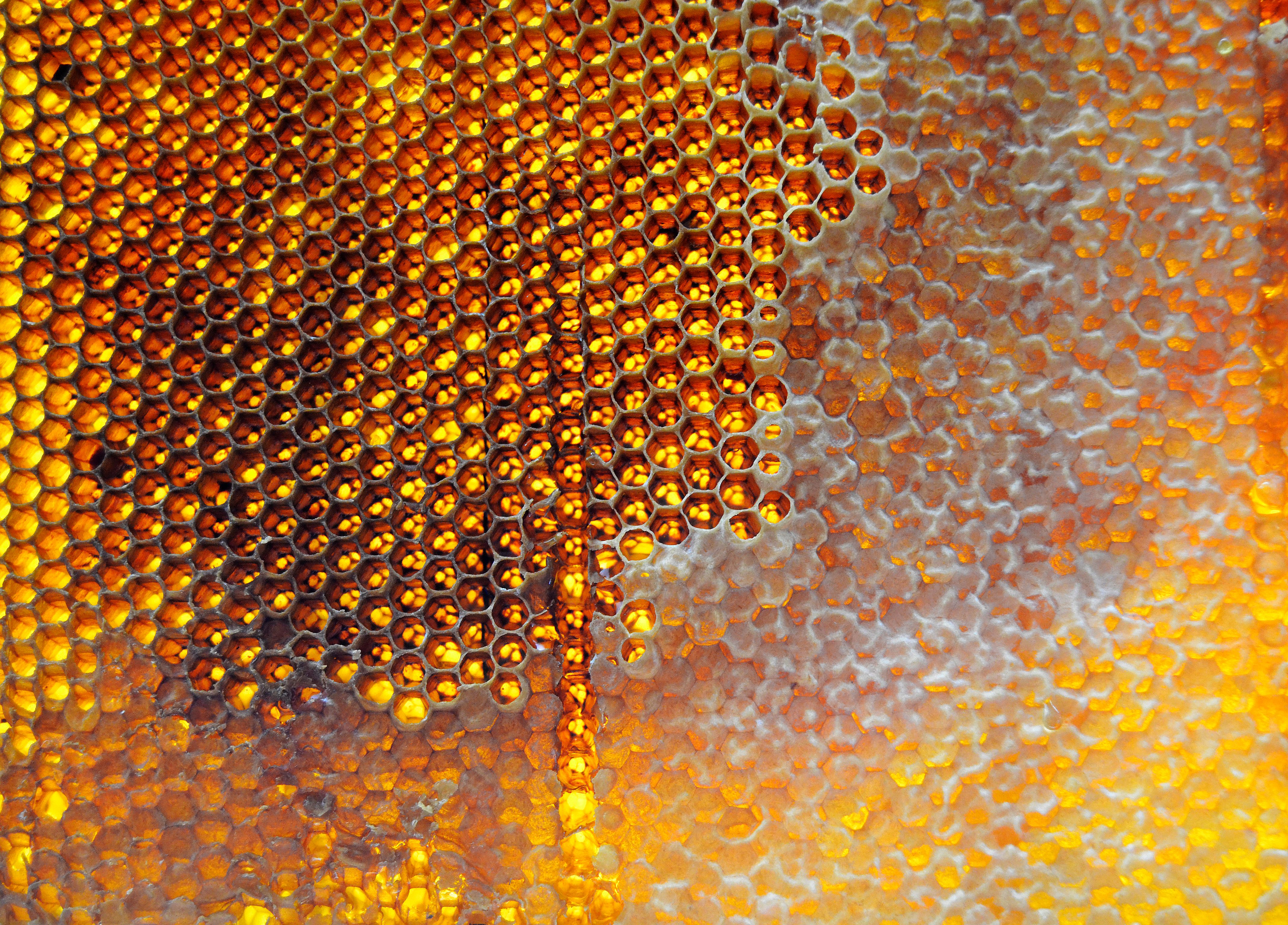 Close up of open-cell acoustic foam structure showing its porous nature - studio foam insulation