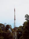 Tall Communication Tower Amidst Verdant Forest