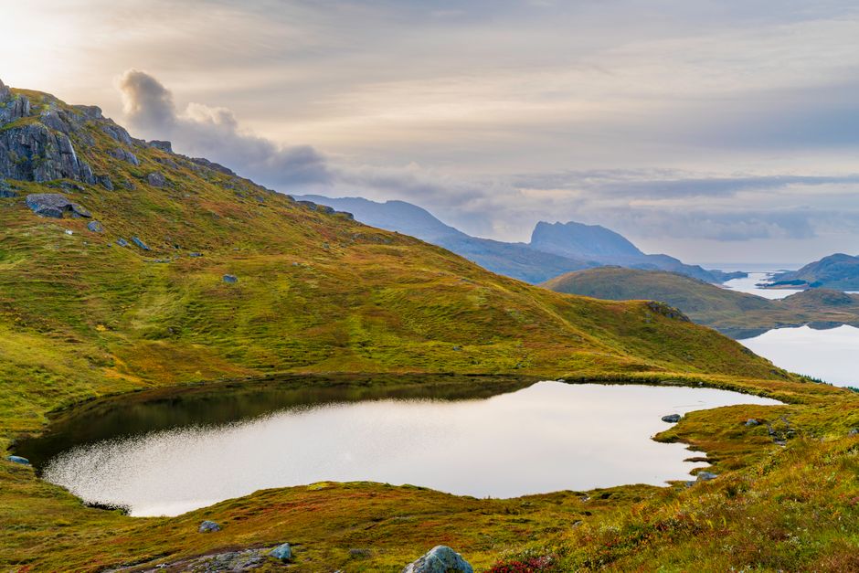 Best Northern Lights Hunt with The Green Adventure - Photos Included Review: The Ultimate Aurora Chase in Norway Review 2026 - Peaceful mountain scene with a tranquil lake in Nordland, Norway.