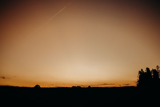 A peaceful sunset with silhouetted trees and an expansive sky.