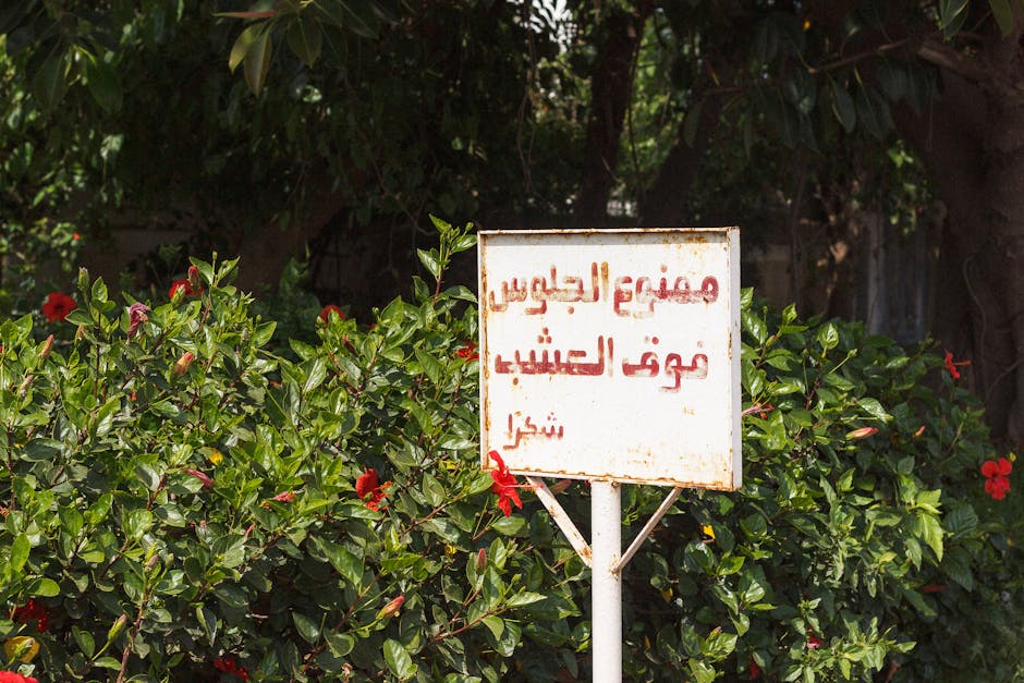 Rusty sign with Arabic text amidst green vegetation and red flowers.