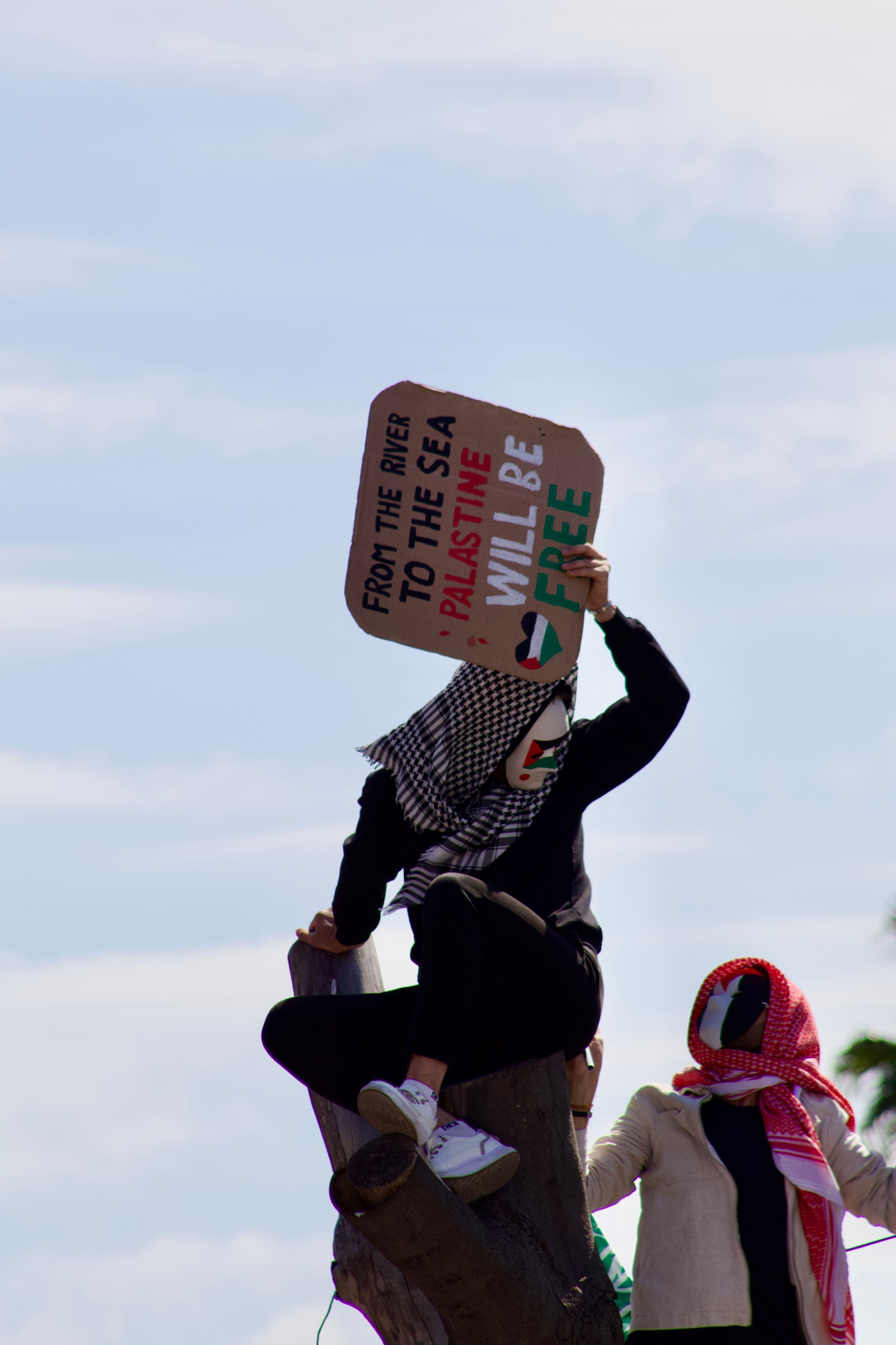 Protesters Holding Signs for Palestinian Freedom · Free Stock Photo