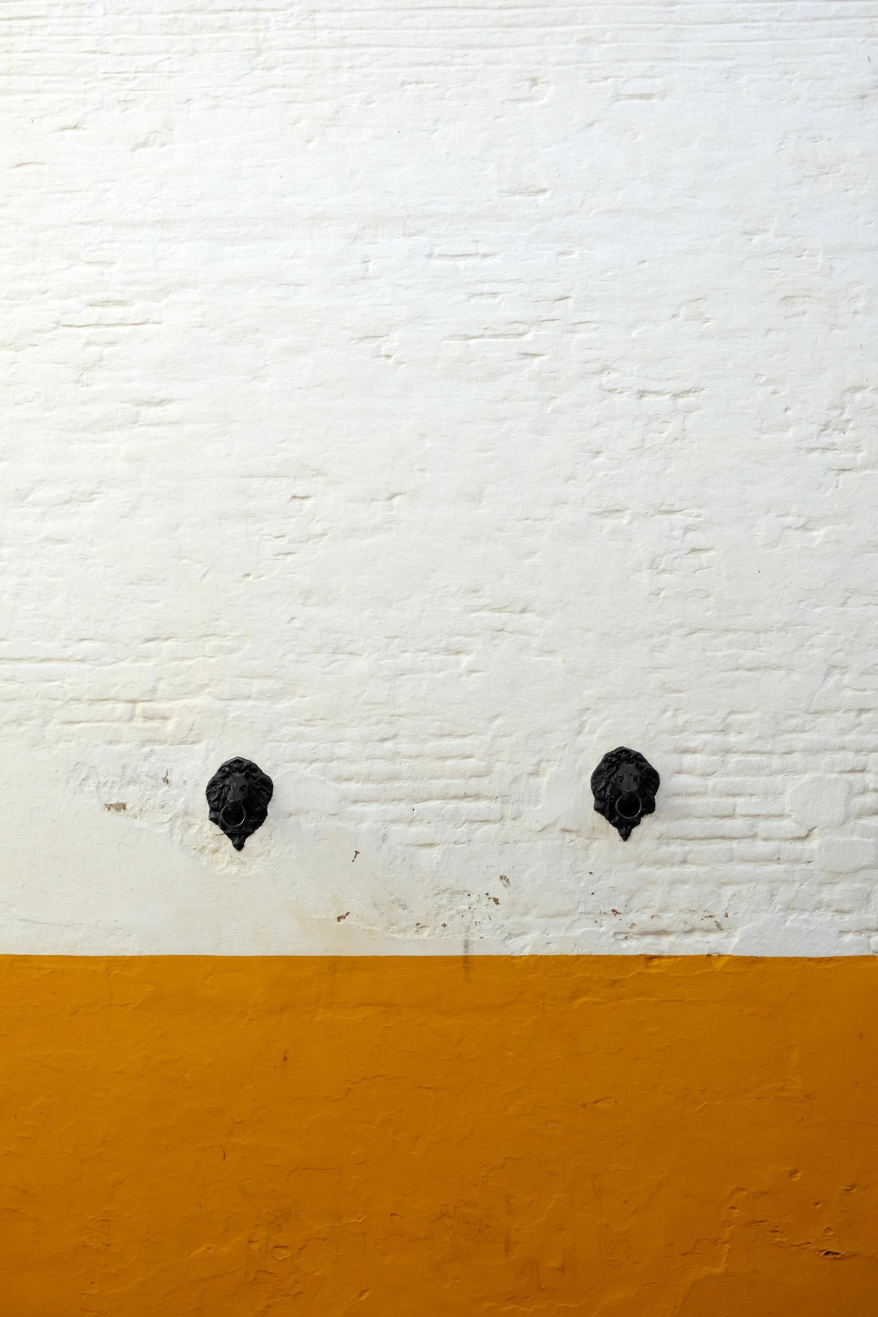 采用极简主义设计元素的白色和黄色砖墙，营造出充满活力的质感