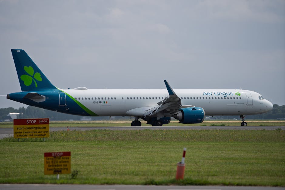 Exploring the Versatility of the Vitamix Aer Disc in Your Kitchen