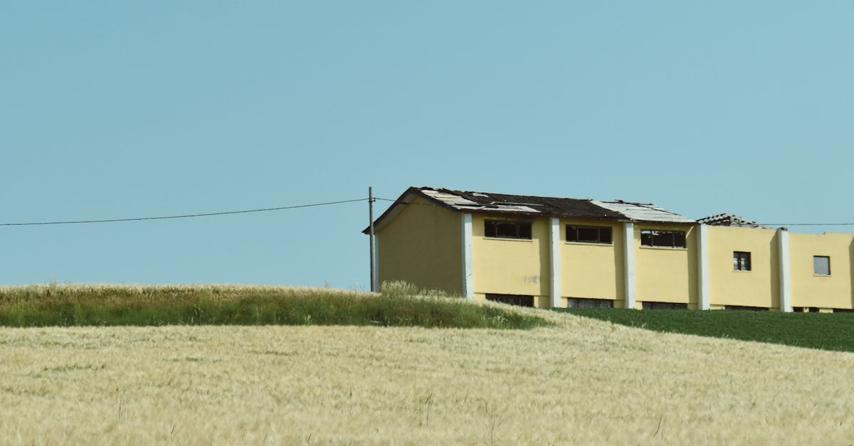 俄羅斯小麥豐收在望 CBOT小麥價格走低引關注