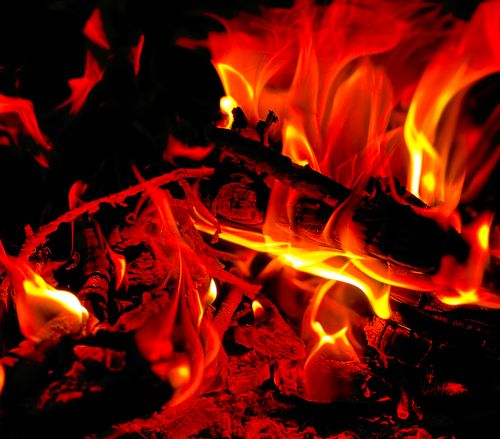 Free Intense close-up view of a vibrant fire with logs and bright flames. Stock Photo