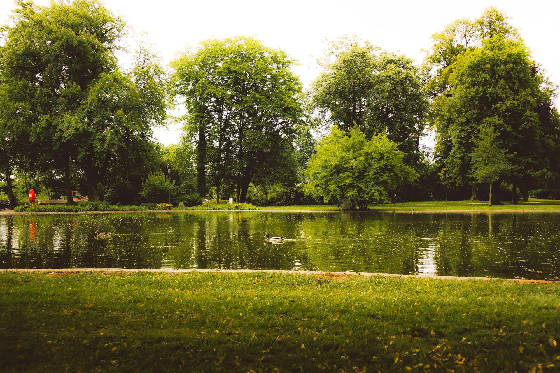 Fondo Tesoros del Cielo