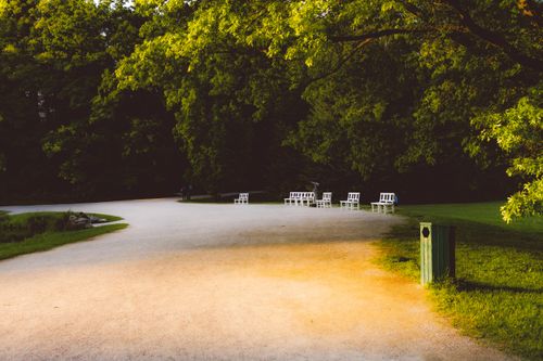 Free Sunlit park pathway under lush trees at sunset in Calden, Hessen, Germany. Stock Photo