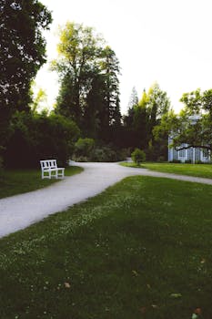 Serene garden pathway in Calden, Hessen with lush greenery and soft sunset light.