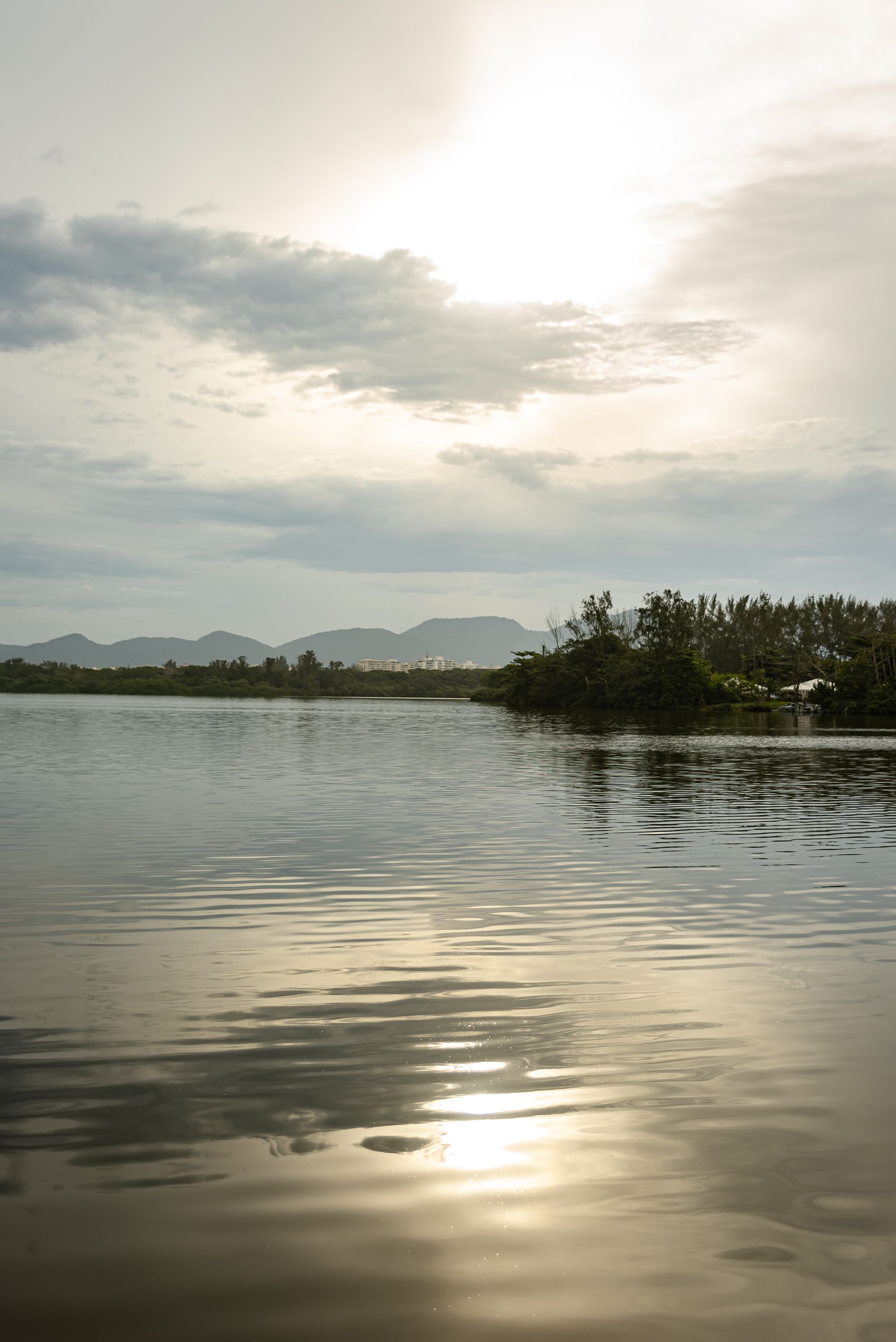 Ciénaga y Sabores Malamberos