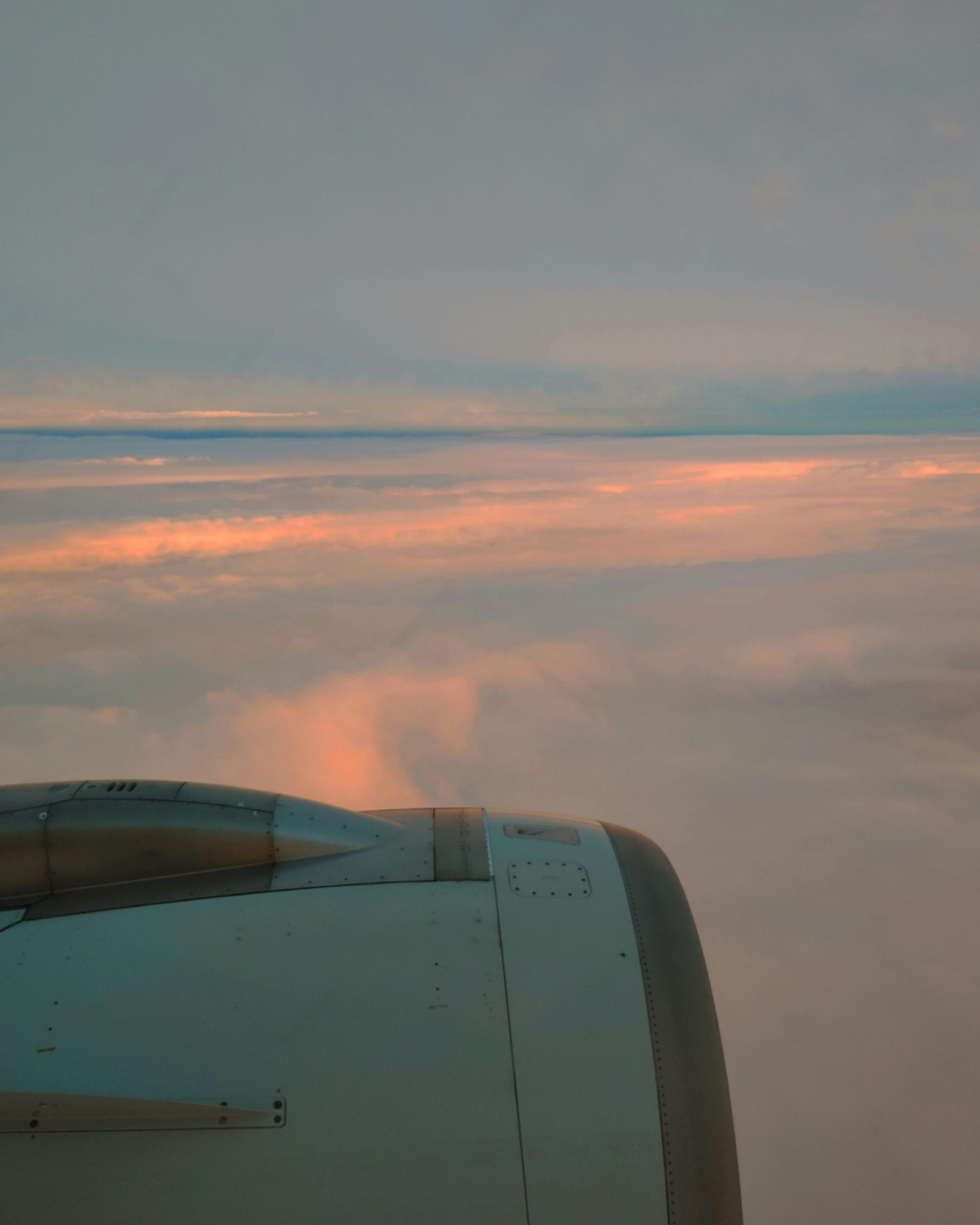 Simole Wing Photos, Download The BEST Free Simole Wing Stock Photos ...