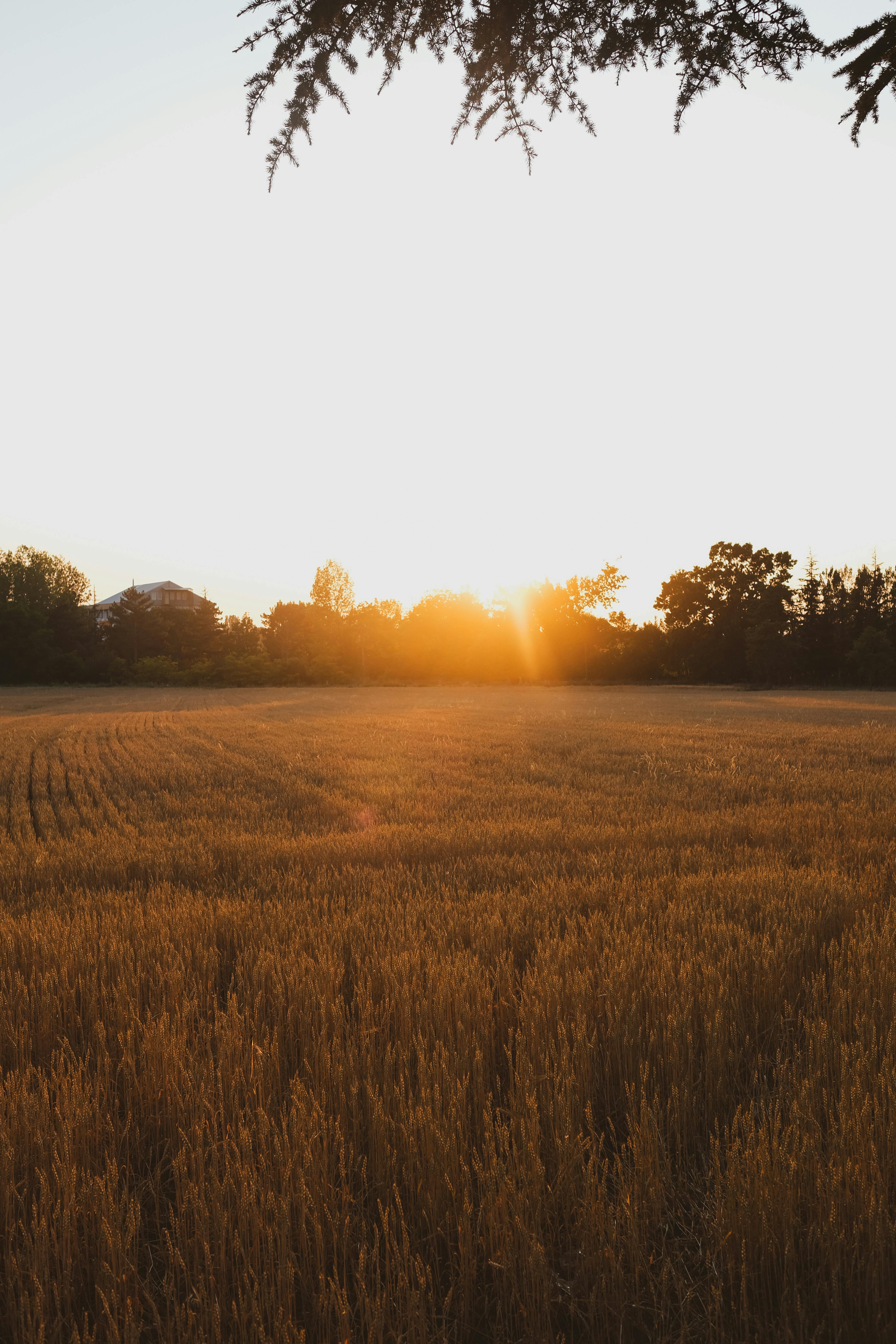 好的，我会遵循您的指示进行优化