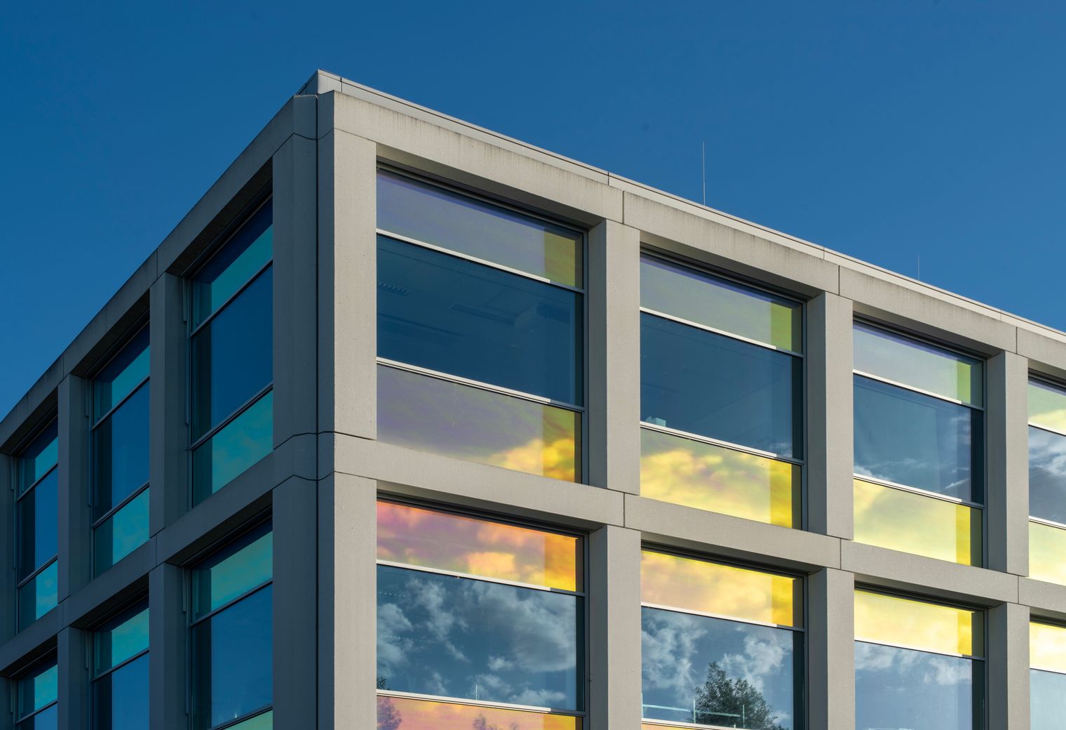 Commercial Decorating in Romford — the finished result after a professional repaint