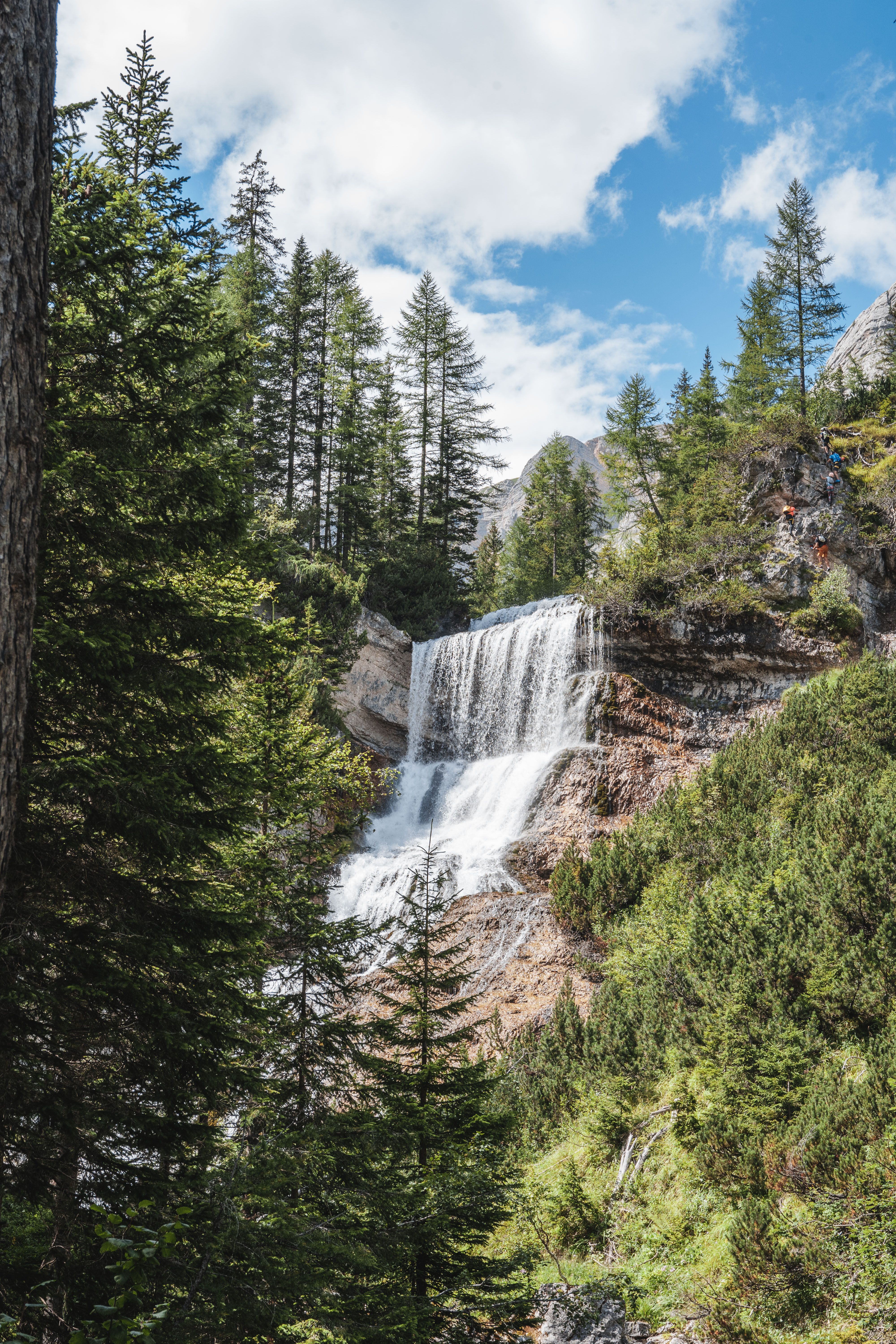 Photo of a Waterfall Between Trees · Free Stock Photo