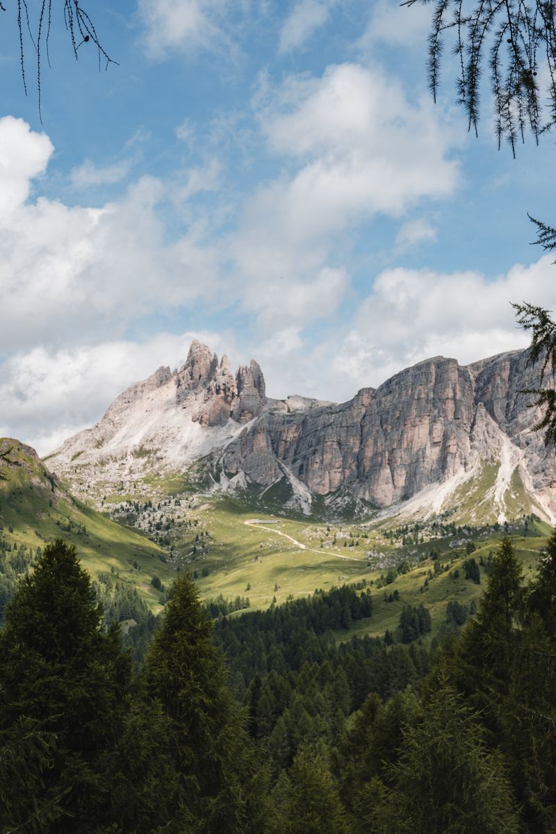 Breathtaking landscape of the Dolomites with lush greenery and blue sky.