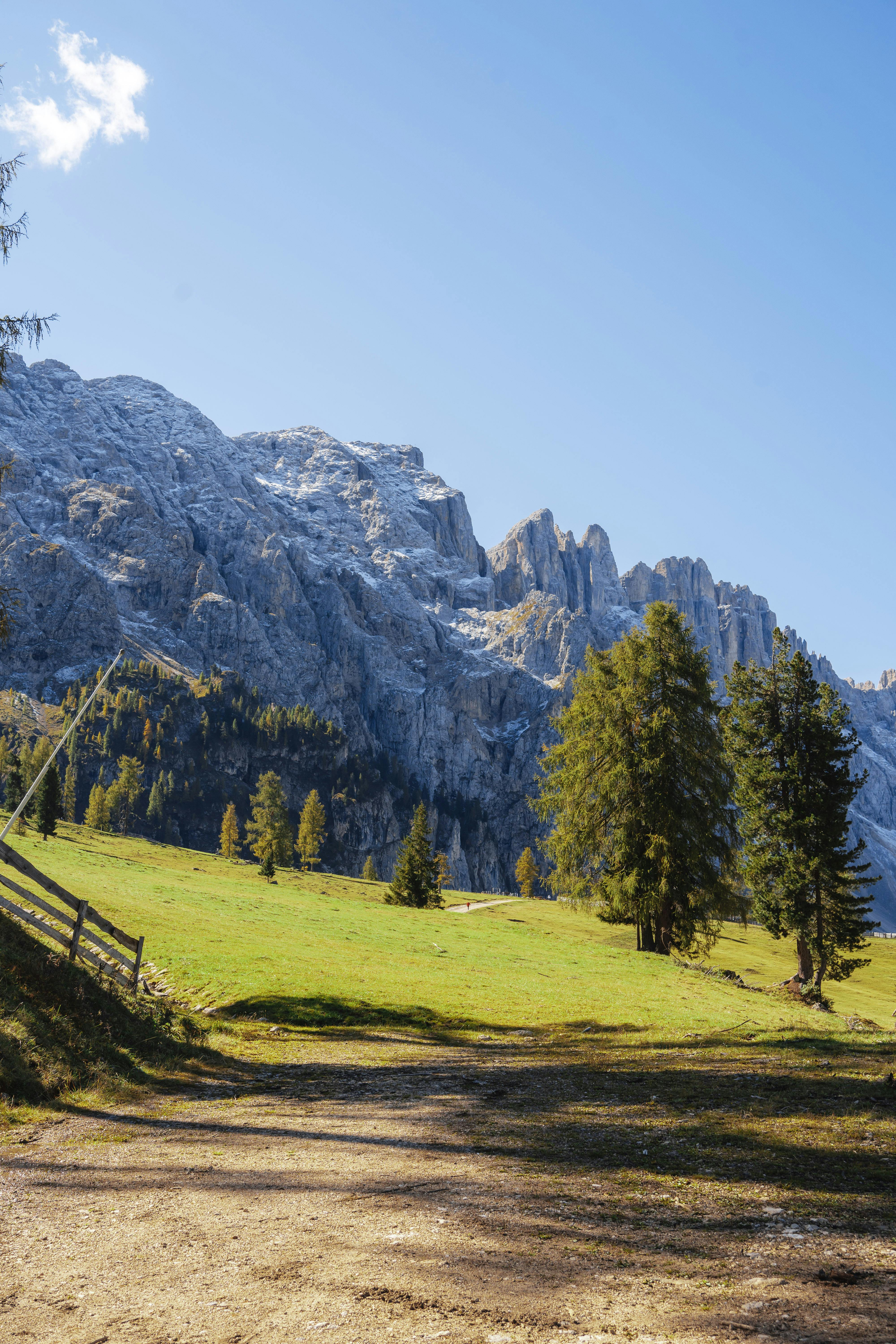 A picturesque view of rugged mountains with a lush green meadow in the foreground.