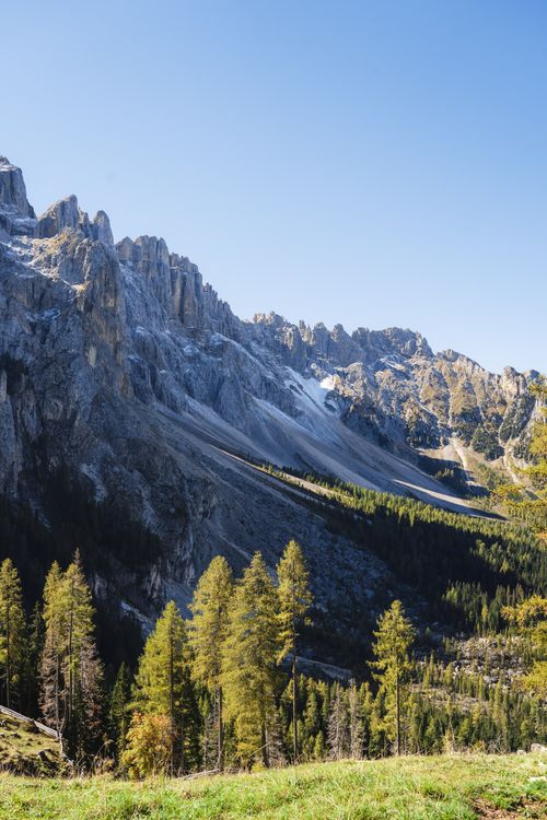 Free Breathtaking view of rocky mountains during fall. Crisp clear sky and vibrant trees enhance the scenery. Stock Photo