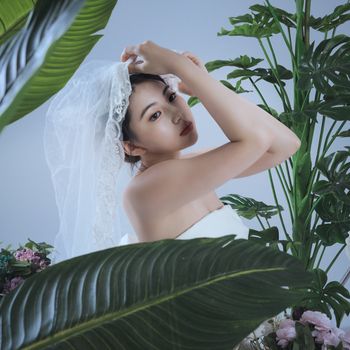 Wedding Veil or Headpiece
