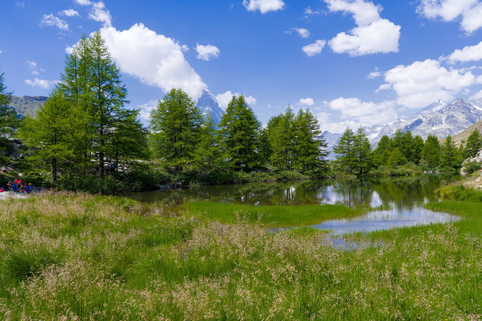 Camp familial multi-aventures