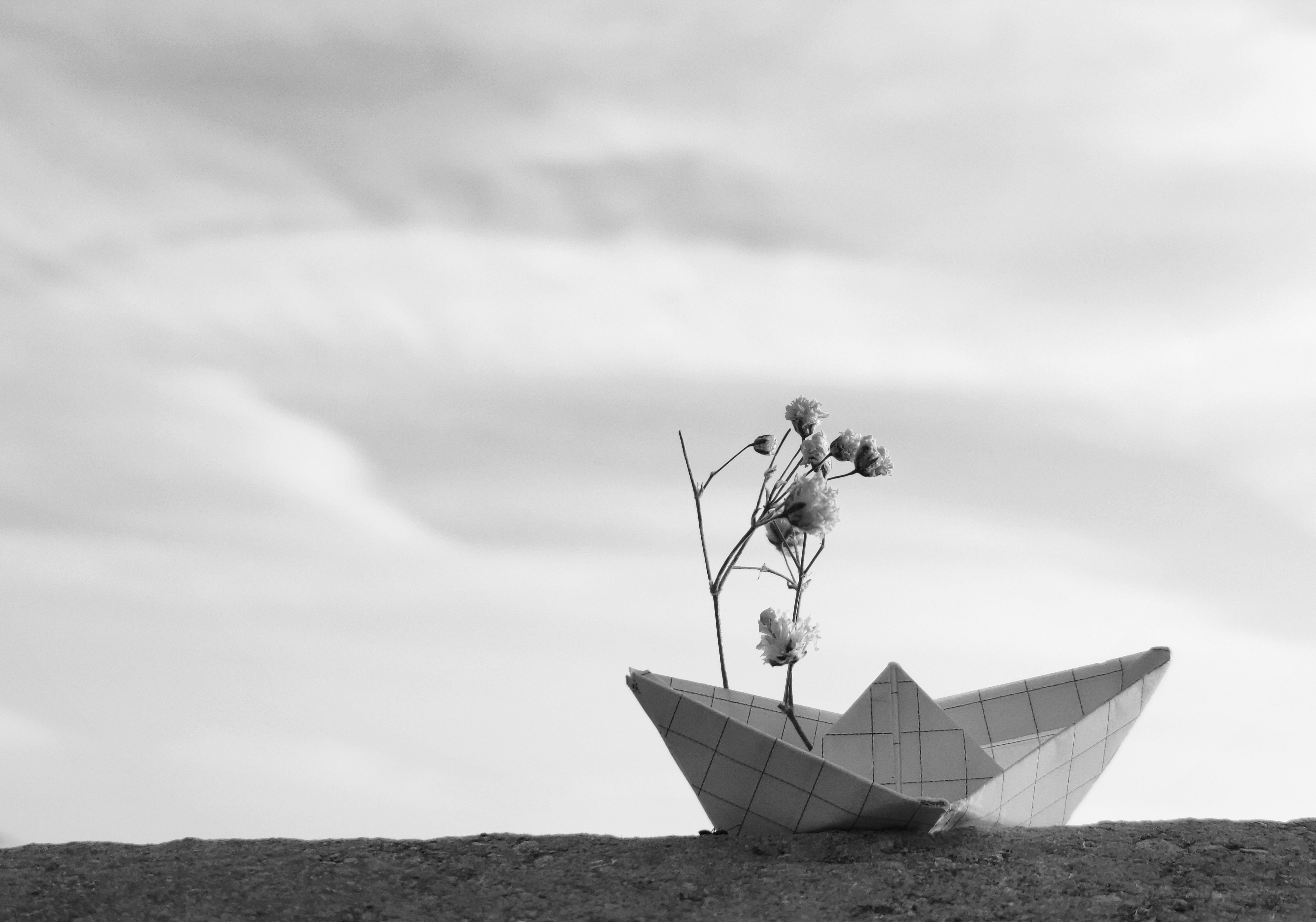 Scented Nostalgia: Unveiling Forgotten Smells