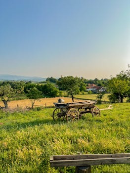 Charming rural scene with an old wooden cart in Cvetanovac, Serbia, under a bright day sky.