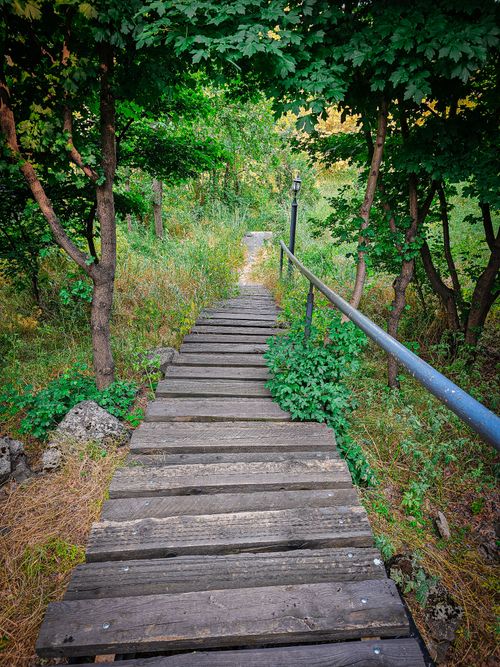 Free A serene wooden pathway meanders through a lush green forest, offering a peaceful nature escape. Stock Photo