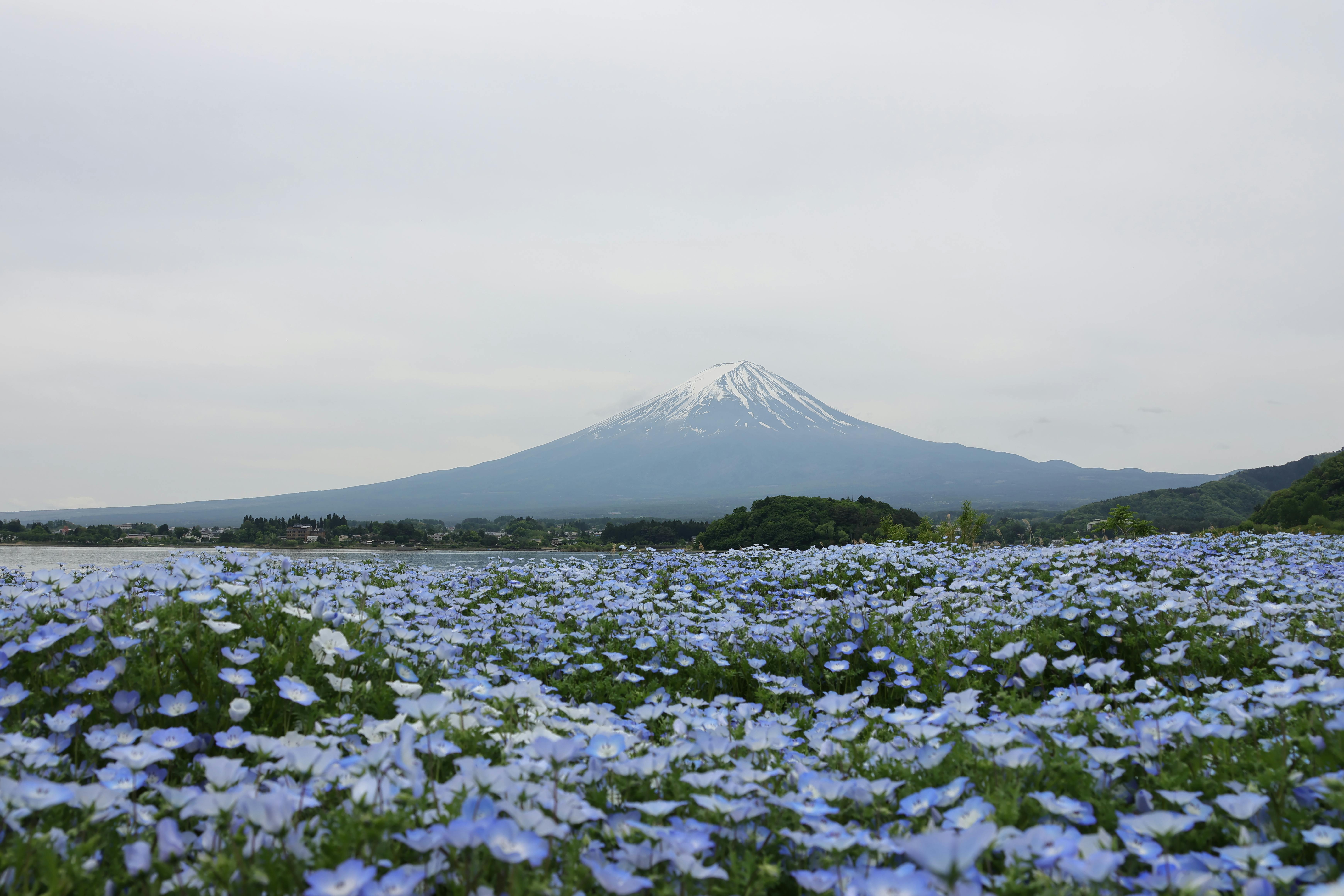 Naked+Japanese+Massage Photos, Download The BEST Free Naked+Japanese