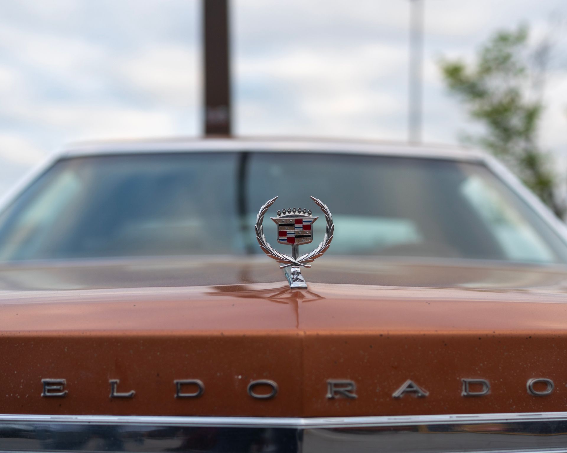 Detailed shot of a classic Eldorado car emblem on a vintage vehicle, showcasing timeless design.