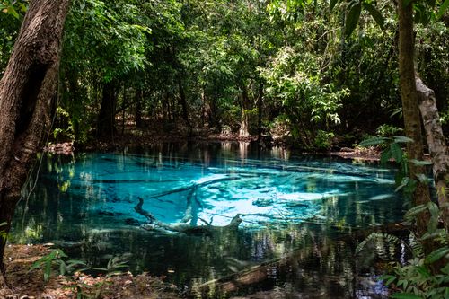 Free Discover a tranquil tropical pool with crystal-clear blue water surrounded by lush, green forest. Stock Photo