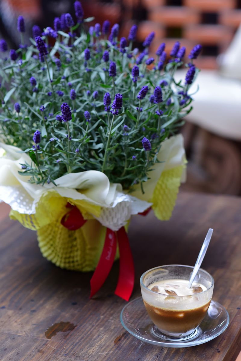 Morning Lavender floral cafe