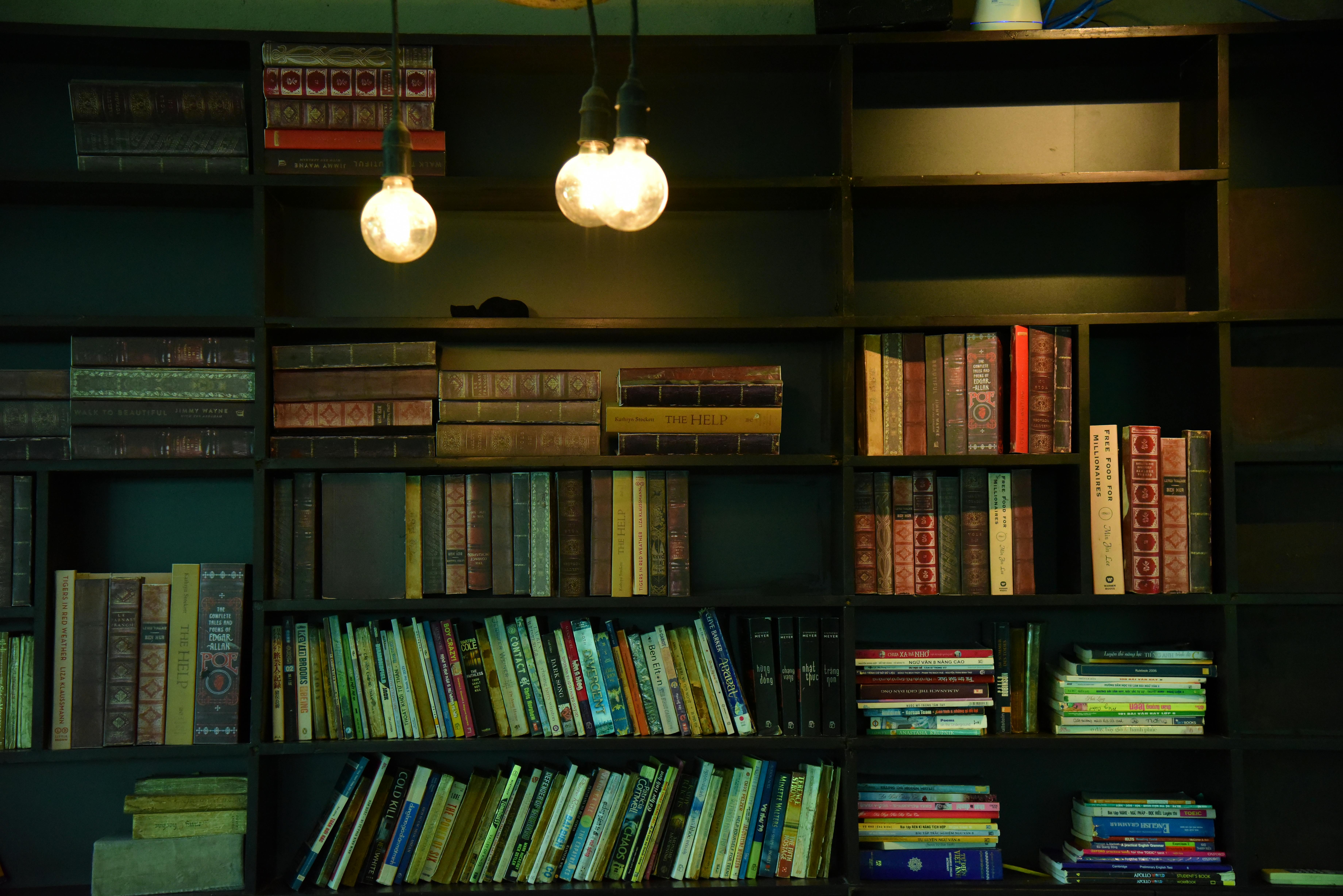 A cozy library scene featuring dimly lit vintage bookshelves with Edison bulbs.