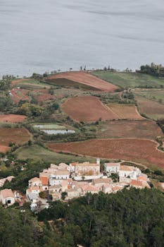 Aerial view of countryside village surrounded by lush fields and a large water body.