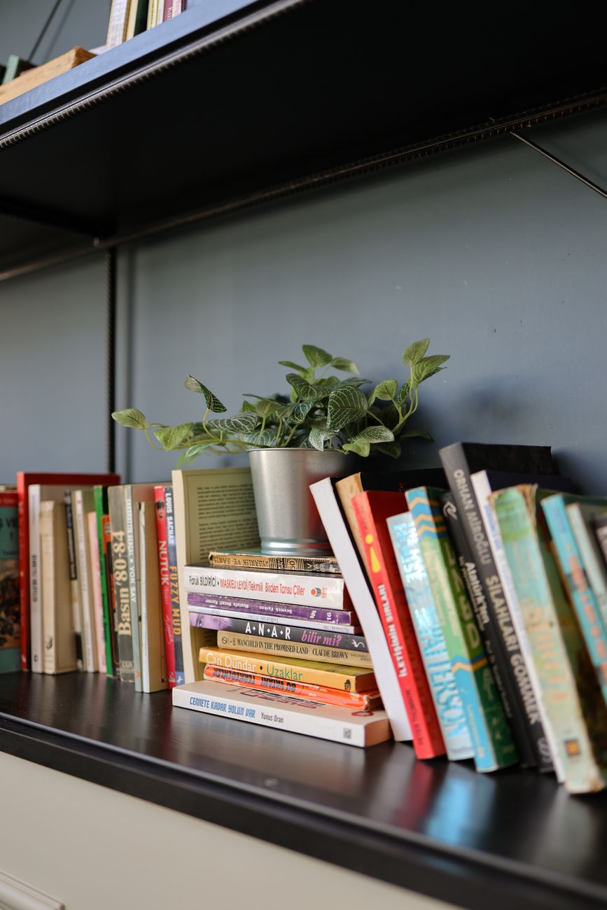A well-organized bookshelf with a variety of books and a potted plant for a cozy ambiance.