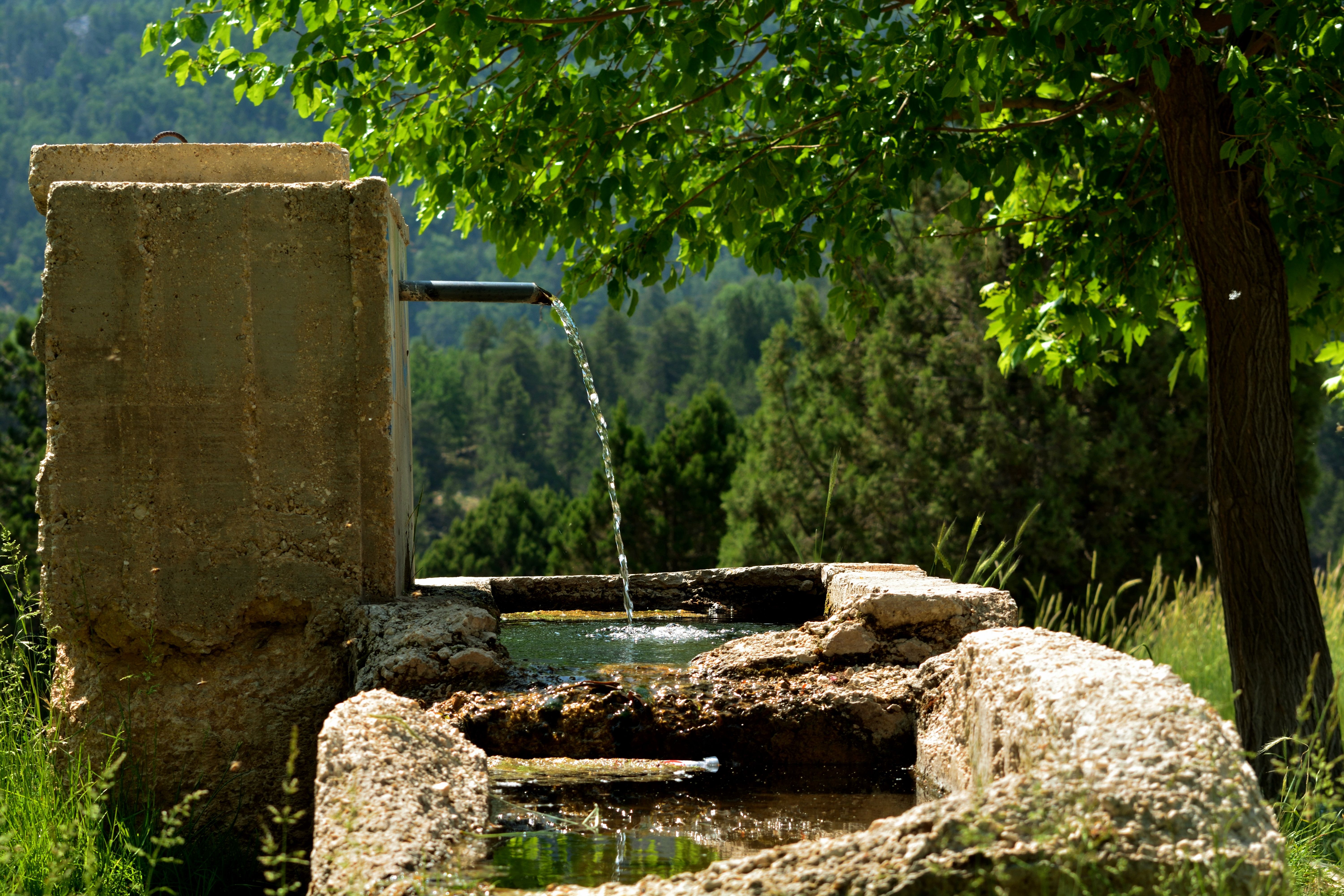Tranquil Spring Water Fountain in Elmalı Forest · Free Stock Photo