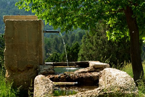 Free Rustic spring water fountain in Elmalı, Antalya, surrounded by lush greenery and serene forest. Stock Photo